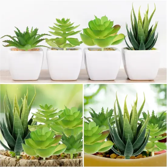 Fake Succulent Plants, 6pcs Mini Green Succulent Plants Faux, Artificial Succulents Plants for DIY Crafting Home Floral Wall Office Decoration (excluding pots) {3}