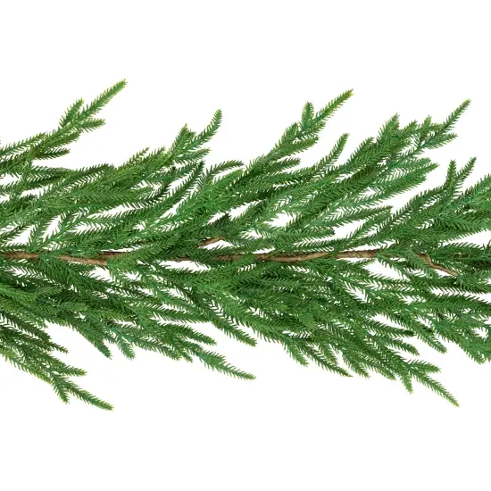 Northlight Norfolk Pine Artificial Christmas Garland - 5' - Unlit Green {6}