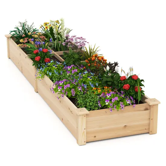 Natural Fir Wood Raised Garden Bed with Dividers and Open-Ended Base 90x25x10 {2}