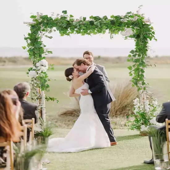 Artificial Vines Ivy Garland 2Pcs 6Ft Fake Hanging Twigs Vine Plants Faux Green Grape Leaves Greenery for Indoor Outdoor Home Office Garden {3}