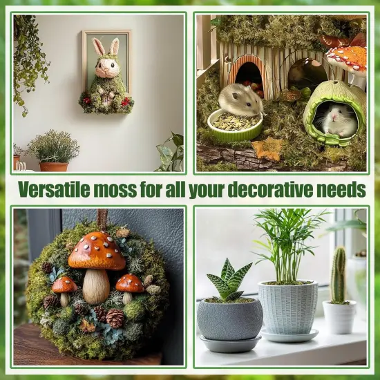 Large Pack Natural Green Moss for Crafts - Bulk Moss for Plants Indoor, Artificial Fairy Gardens, Mosswall, Glass Terrariums, Filling Fake Plants, Home Decoration {6}
