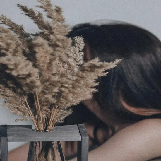 Pampas Grass Decor, Natural Dry Pampas Grass Small, Short Pampass Bulk for Farmhouse, Wall, Kitchen, Bedroom Decor, Office Decor {3}