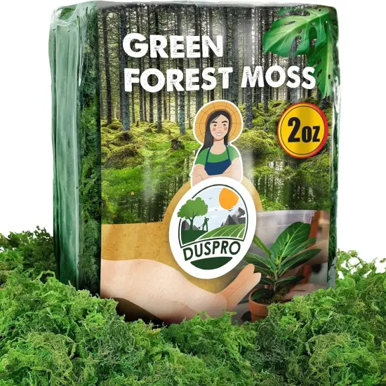 Green Moss for Crafts Decorative Filler planters Decor Artificial Table Centerpieces Wedding Christmas Fairy Party Decor {1}