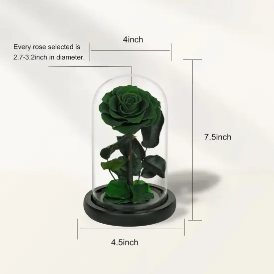 Handmade Preserved Roses in Glass Dome, Long lasting Green Roses Real, Flowers for Women {2}
