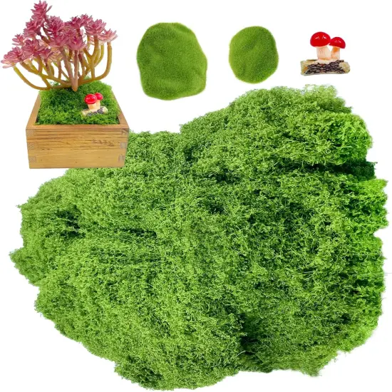 Preserved Moss Bulk Green Natural Preserved Pole Moss Pillow for Potted Plants 2.5 sq.ft Green Moss Balls for Bowls Wall Art Terrariums Crafts Fairy Gardens {1}