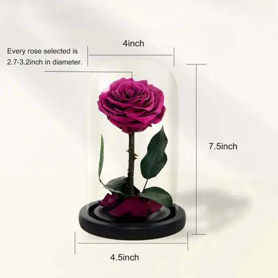 Handmade Preserved Roses in Glass Dome, Long Lasting Pink Roses Real, Flowers for Women {2}