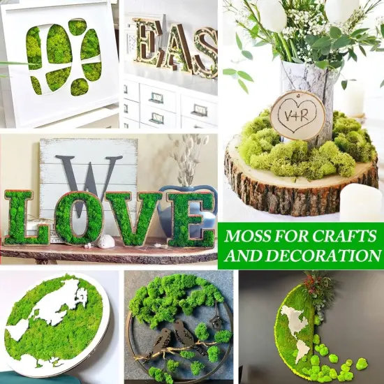 Preserved Moss for Crafts Green Reindeer Moss for Potted Plants, Craft Decorative Moss Decor for Wall Art, Dried Moss {2}