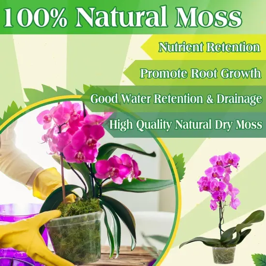 Green Moss for Indoor Plants, 8QT Orchid Moss for Repotting, Forest Moss for Potted Plants, Real Moss for Succulent Carnivorous Houseplant Terrariums Garden Reptiles {5}