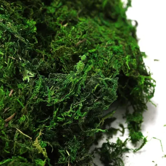 Fake Moss for Centerpieces Decor, Aftificial Green Moss for Plant Crafts Flower, 3.5oz {3}