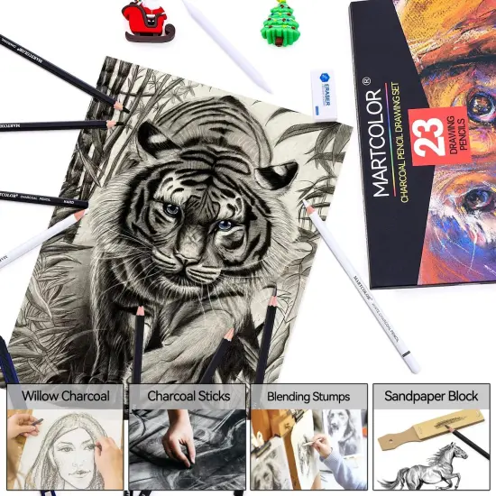 Charcoal Drawing Set, Set of 23, Graphite Pencils, Black & White Charcoal Pencils for Drawing, Sketching, Shading, Blending, Artist Pencils for Beginners & Pro Artists {5}