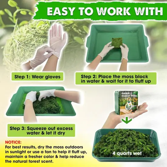 Green Moss for Crafts, Forest Moss Potted Plants, Decorative Moss for Table Centerpieces Wedding Christmas Fairy Party Decor, Green Moss for Indoor Planters, DIY Project {4}