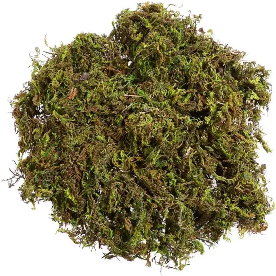 Artificial Moss : 60g Artificial Green Fake Moss for Crafts Decorative Artificial Faux Moss for Plant Craft Flower Garden Wedding Christmas Table Centerpieces Decor {1}