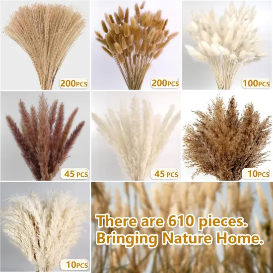 610 PCS Dried Pampas Grass Decor, Dried Flower Bouquets {2}