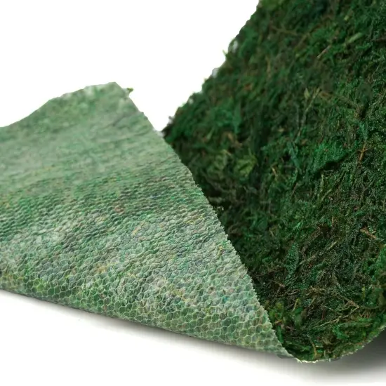 Green Moss for Fairy Gardens Wedding Other Arts and Crafts {3}