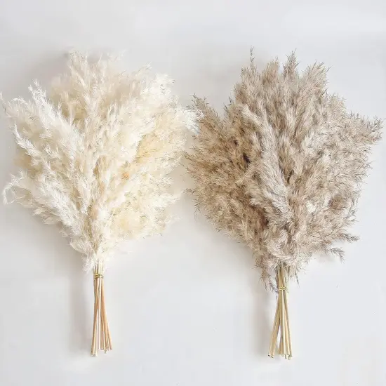 30 PCS Boho Decor, Fluffy Pompas Grass, Natural Dry Pampas Grass Small, Short Pampass Bulk for Boho Room Decor {3}