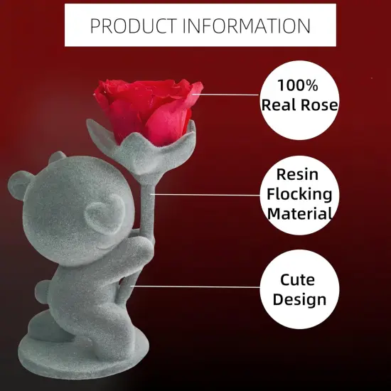 Birthday Gifts for Women Friendship Preserved Roses Gifts {2}