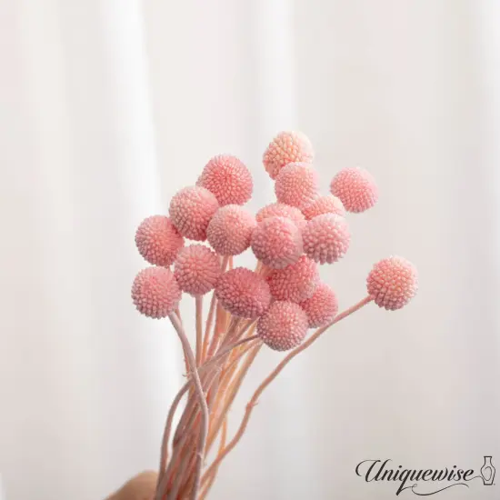 Uniquewise Preserved Real Floral Stems Chic Vase Fillers & Accents for Bouquets Centerpieces & Ornamental Displays Ideal for Home Office Boutique Cafe Resto Bar and Event Decor Pink billy buttons {4}