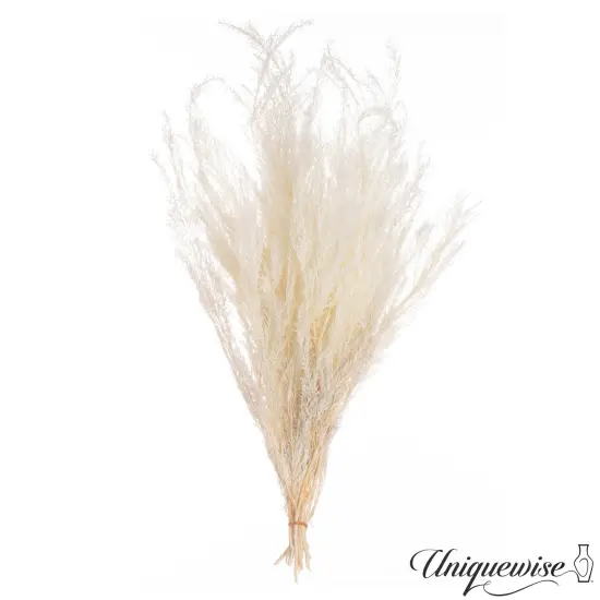 Uniquewise Preserved Real Floral Stems Chic Vase Fillers & Accents for Bouquets Centerpieces & Ornamental Displays Ideal for Home Office Boutique Cafe Resto Bar and Event Decor White m. bracteata {1}