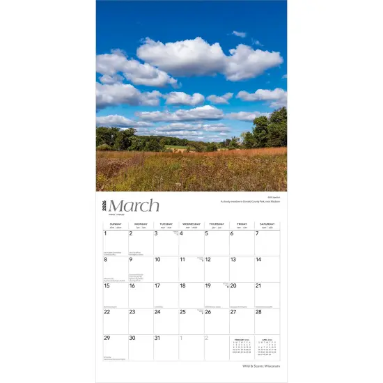 Wisconsin Wild & Scenic | 2026 12 x 24 Inch (Hanging) Monthly Square Wall Calendar | Plastic-Free {3}