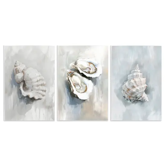 Stupell Industries Various Seashell Mirages 3pc Wall Plaque Set By Ramona Murdock {1}