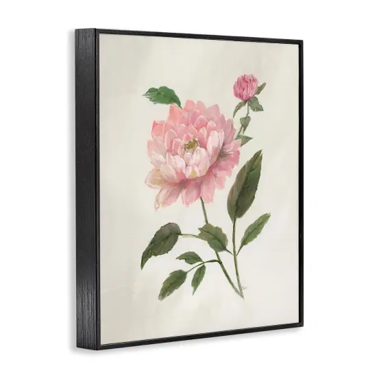 Stupell Industries Single Pink Dahlia Bloom Framed Giclee By Nan {3}