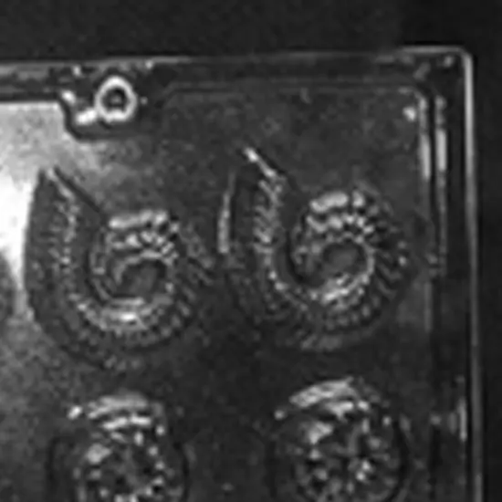 Shell Assortment Chocolate Mold {3}