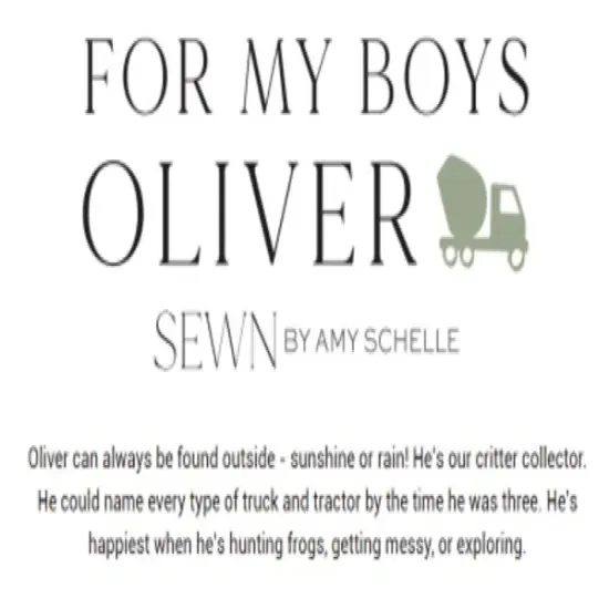 For My Boys Oliver 2.5" Strip Roll (Jelly Roll) by Sewn By Amy Schelle for Moda (25160JR) {2}