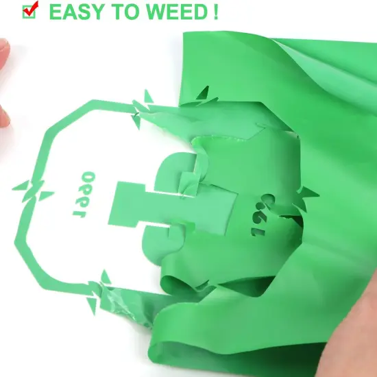 12 Feet Gloss Adhesive Light Green Iron on Vinyl {3}