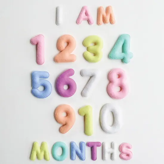 MILESTONE FELT NUMBERS IN PASTEL {3}