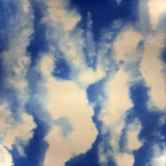 1 Yard Cloud Print Stretch Spandex Fabric for Costumes and Activewear 58/60 Inches Wide {2}