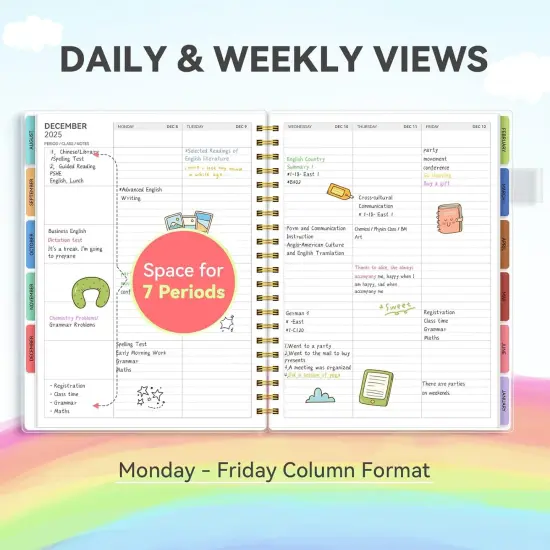 Teacher Lesson Planner 2025-2026 - 8.5"x11" (Color Stripe) {3}