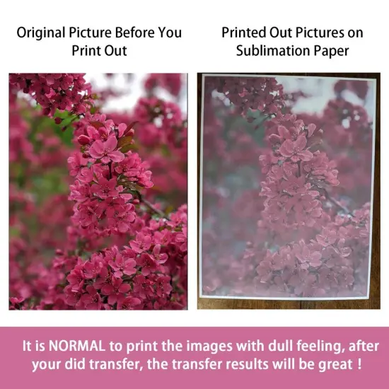 Koala Sublimation Ink Refill Bottle 100ML Yellow for Epson Printers {3}