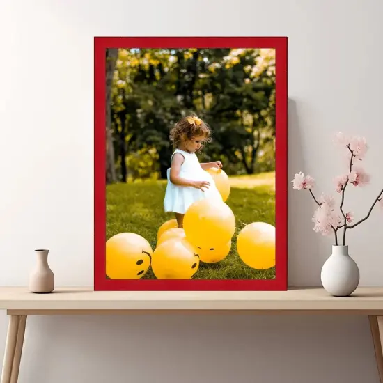 Modern Red Picture Frame Popular Sizes - Flat Modern Framing {6}