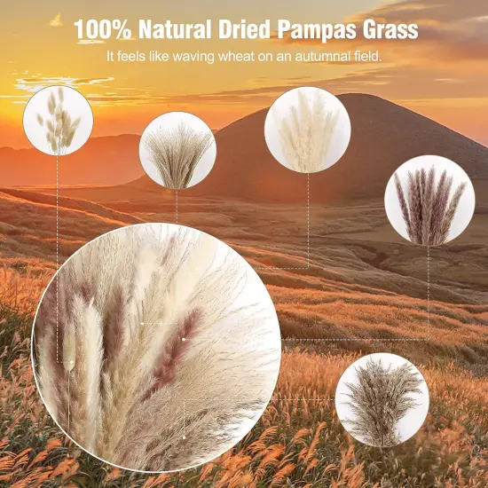 75Pcs Pampas Grass Decor for Fall {4}
