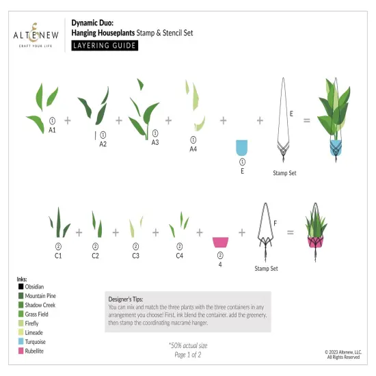 Dynamic Duo: Hanging Houseplants {3}