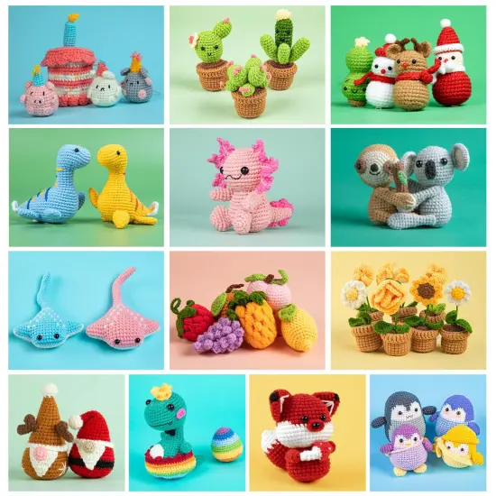 Crochet Kit for Beginners - Complete Crochet Kits with Stitch by Stitch Video Tutorial, Beginner Crochet Kit for Adults Kids Gift - Starter Easy Learn to Crochet Succulent Plants Family {5}