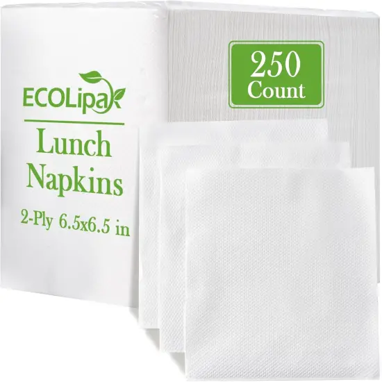Napkins Bulk, 250 Count Everyday Paper Napkins, 6.5&times;6.5 Inch Folded, 2-Ply Soft And Absorbent for Dinner, Gathering, Bar, Restaurants(13&times;13 Inch Unfolded) {1}