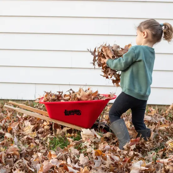 Eli & Mattie Kids Wheelbarrow, Sturdy Wooden Handles and Heavy-Duty Plastic Tub, Toy for Outdoor Play, Perfect for Gardening and Active Imaginative Fun {4}