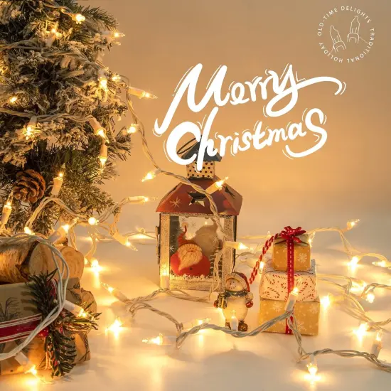 2 Pack 50-Count Clear Christmas String Lights - Warm White {2}