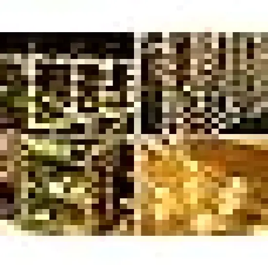 Christmas Halloween Holiday Tree Decoration Lighting {5}