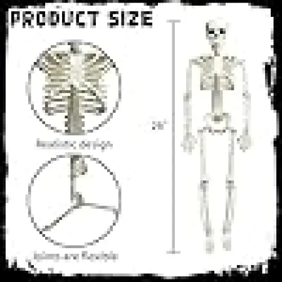 Full Body Skeleton with Movable Posable Joints, {2}