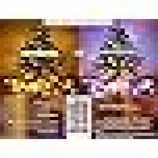 Waterproof for Christmas Decoration {5}