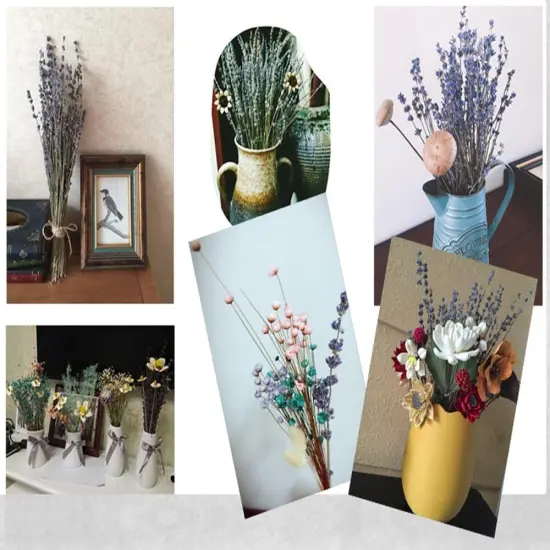 Natural Lavender Bundles, Freshly Harvested 400+ Stems Dried Lavender Bunch 16" - 18" Long, Decorative Flowers Bouquet for Home Decor, Crafts, Gift, Wedding or Any Occasion {5}