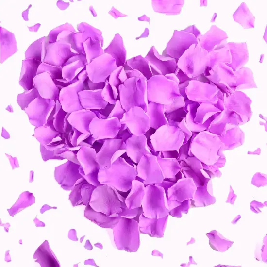 180 PCS Real Purple Rose Petals for Wedding, 1.76oz Dried Flower Petal for Flower Girl to Throw, Romantic Night Baby Shower Proposal {1}