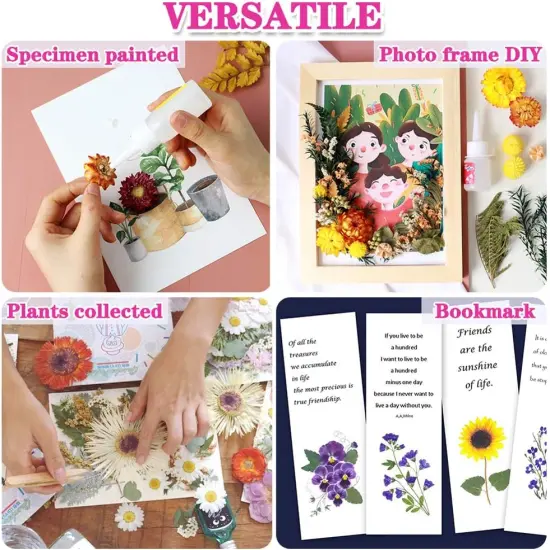 Dried Pressed Leaf Flowers-Multiple Colorful Pressed Flowers Daisies for Craft Resin Jewelry Making Art Craft DIY（Violet） {4}