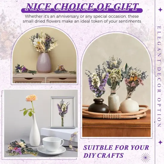 12 Pack Boho Dried Flower Bouquet Mini Wedding Handmade Dry Flowers Decor for Vase Crafts DIY Photo Boutonniere for Men Floral Plant for Bridesmaid Gift Birthday Decor(Lavender) {3}