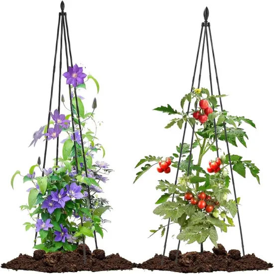 2 Pack Garden Trellis for Climbing Plants {1}
