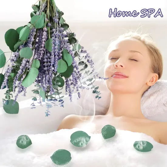 80 PCS Large Dried Preserved Eucalyptus Stems & Lavender Flowers Bundle for Shower, 17'' Real Fresh Hanging Silver Dollar Leaves, Aromatic Self-Care Shower Plants, Natural Fragrance, Home Decor {2}