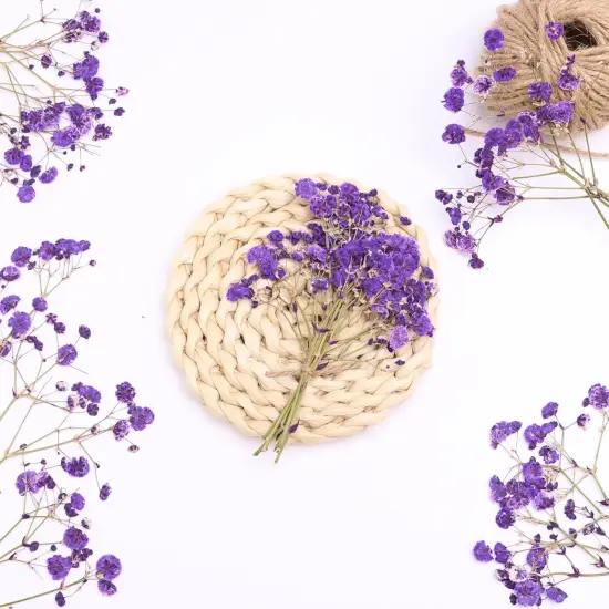 Purple 70 Branches Pressed Flowers Bulk Dried Flower for Resin , Dried Babys Breath Flower with 2 Tweezer {4}