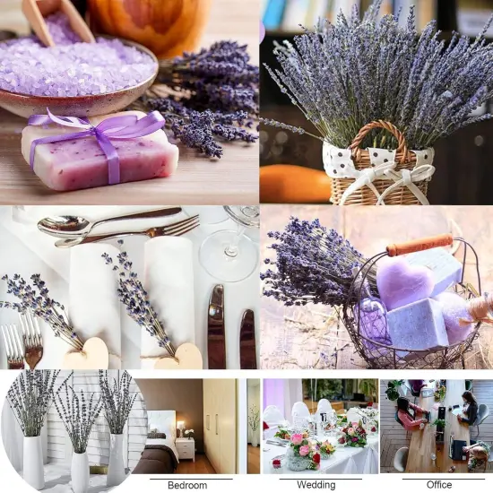 Dried Lavender Bundles Lavender Bunches Dry Lavender Flowers for Home Decor, Crafts, Wedding Bouquets {5}